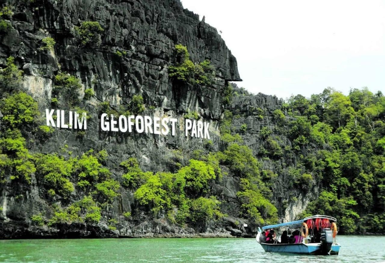 Jelajahi Mangrove Tour Langkawi: Keindahan Alam yang Tersembunyi